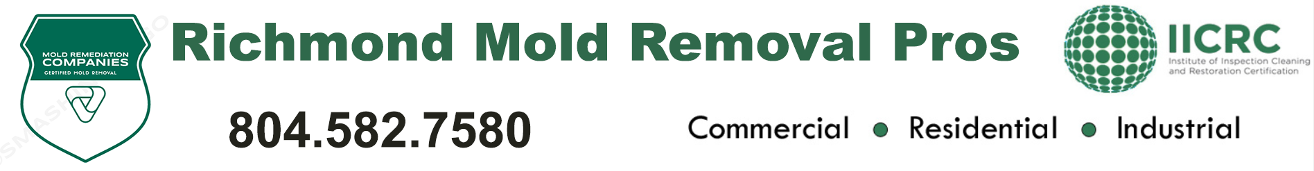 Richmond Mold Removal Pros